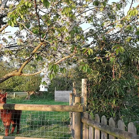 Bed & Breakfast L'arbre A The *